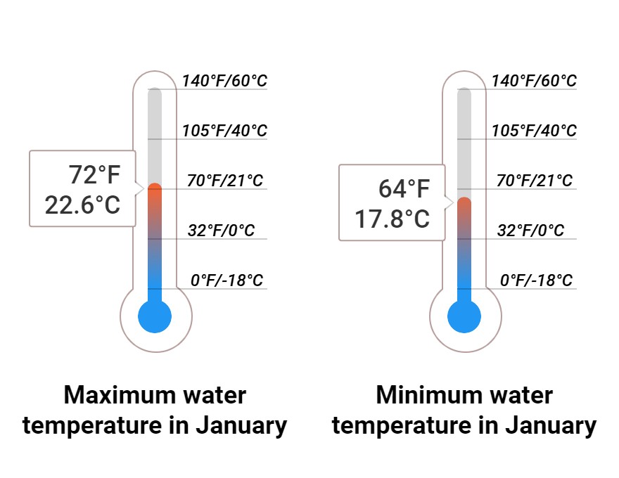 Average Sea temperature